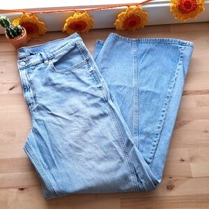 AEO "Low-Rise Baggy Flare" Jean 👖
